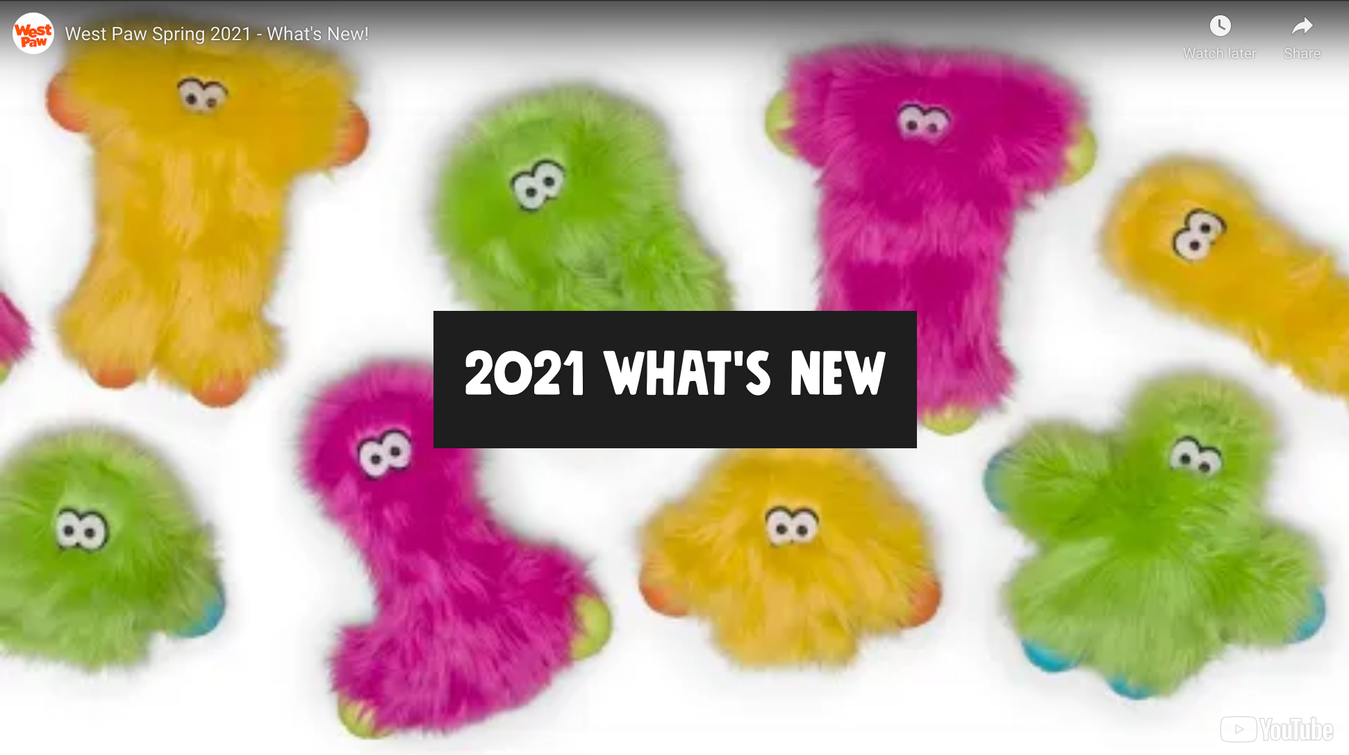 West Paw Spring 21 Videos