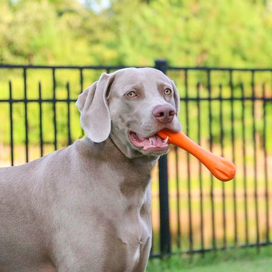 Plastic Isn't a Dirty Word