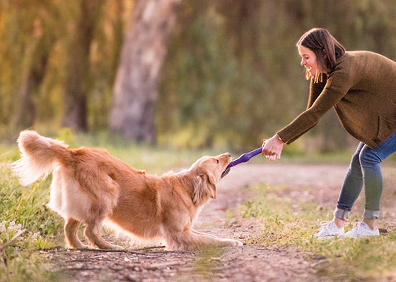 The Environmental Paw Print Of Man’s Best Friend & How Can You Reduce It