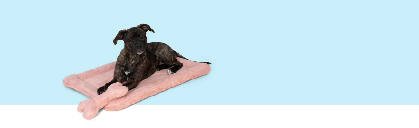 Big Sky Nap® Dog Mat | Dog Sleeping Mat | West Paw