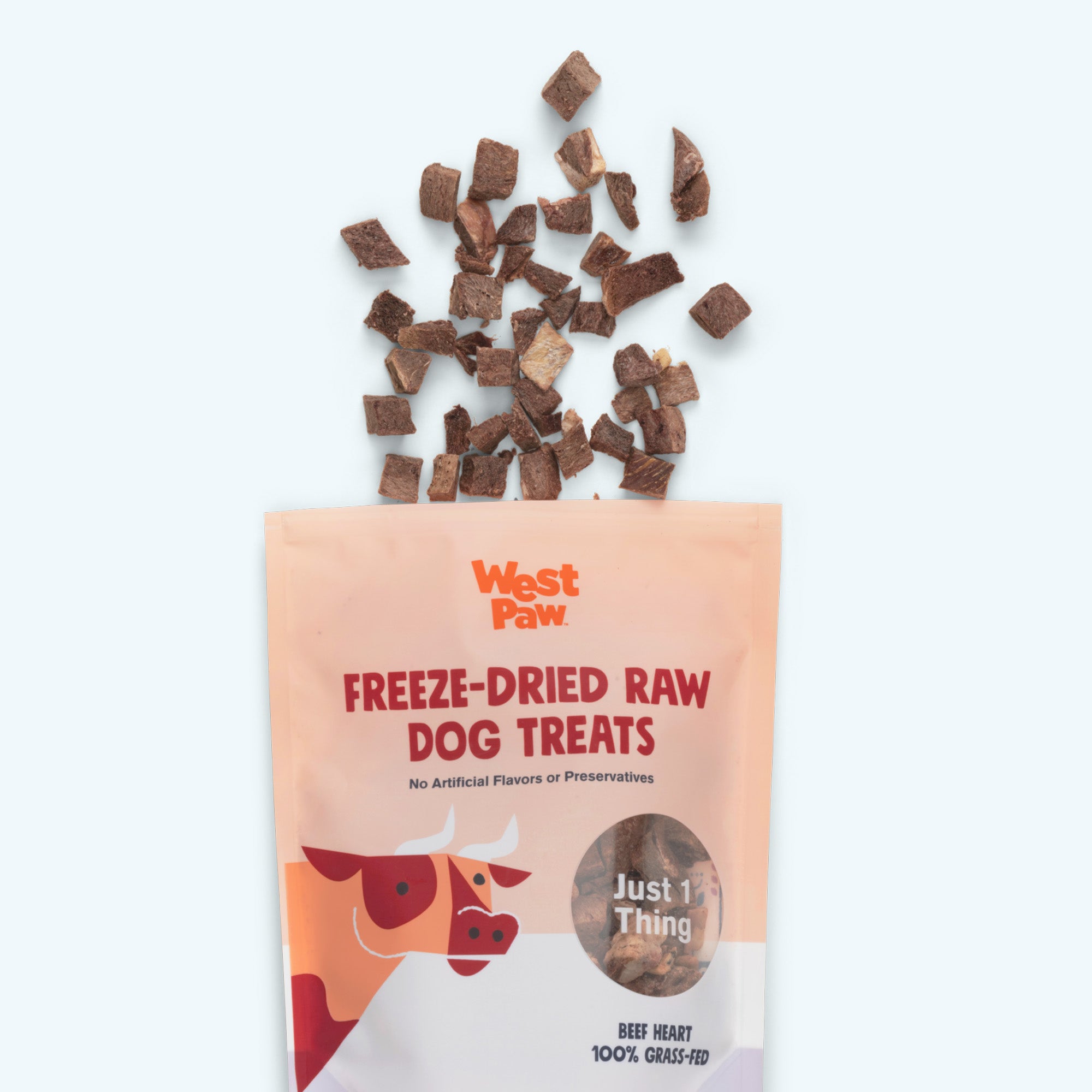 Beef Heart Freeze Dried Dog Treat 2.5 Oz Bag | Beef Heart dog
