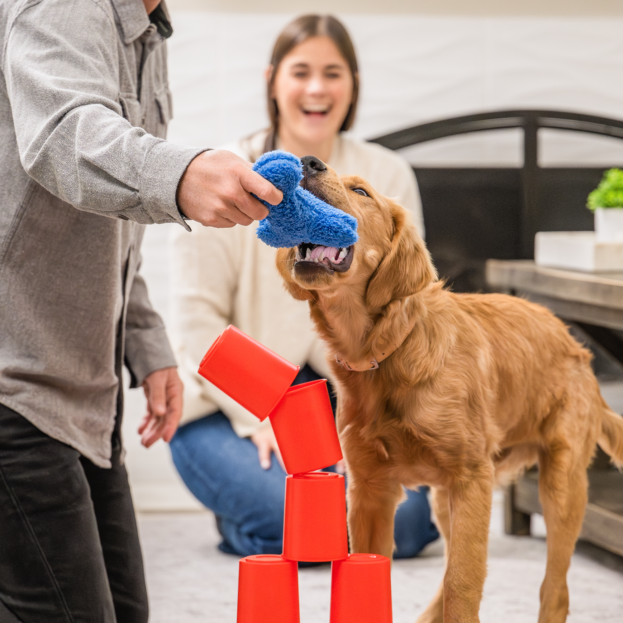 The Dog's Best Friend Game West Paw