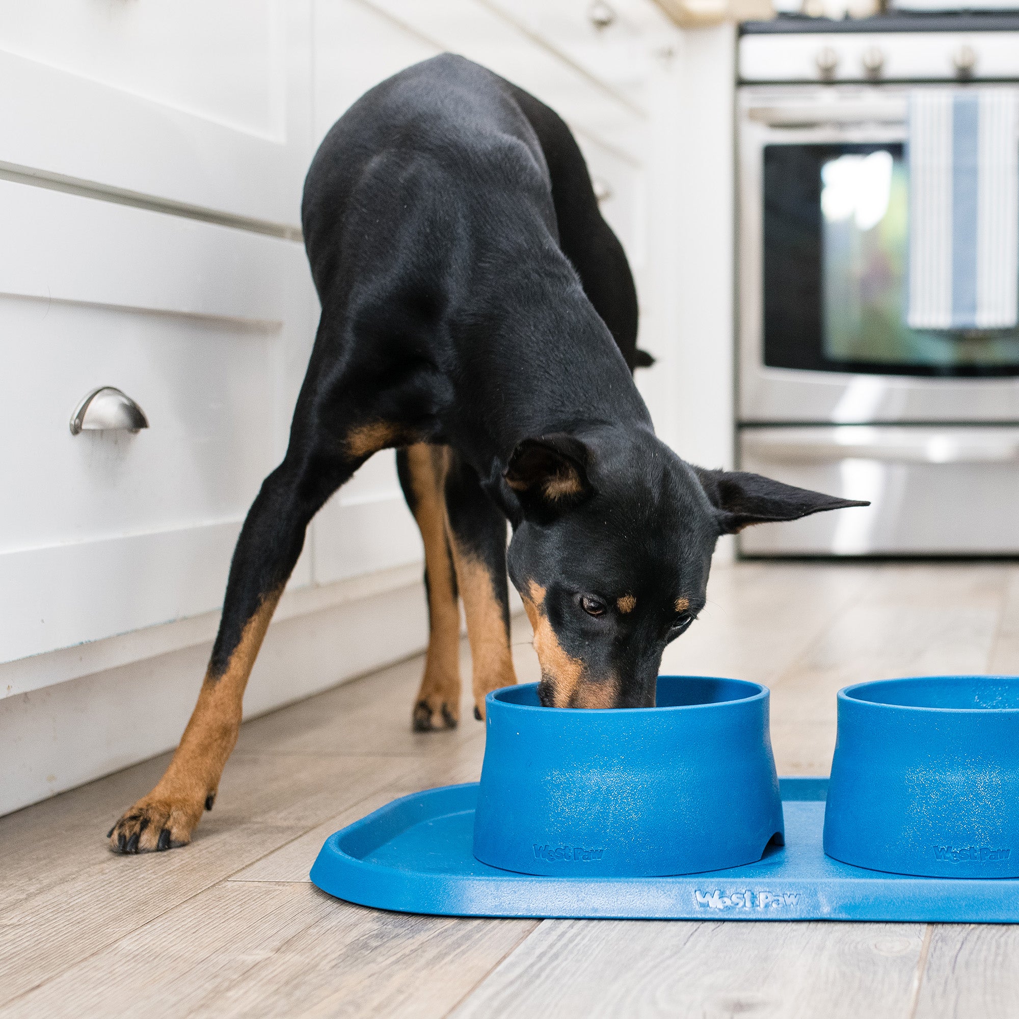 Seaflex Dog Feeding Mat Dog Feeding Mat West Paw