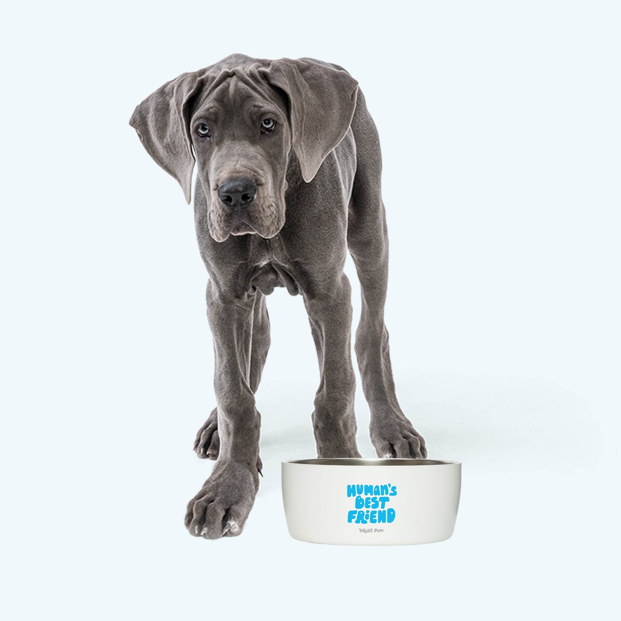 MiiR Dog Bowl West Paw