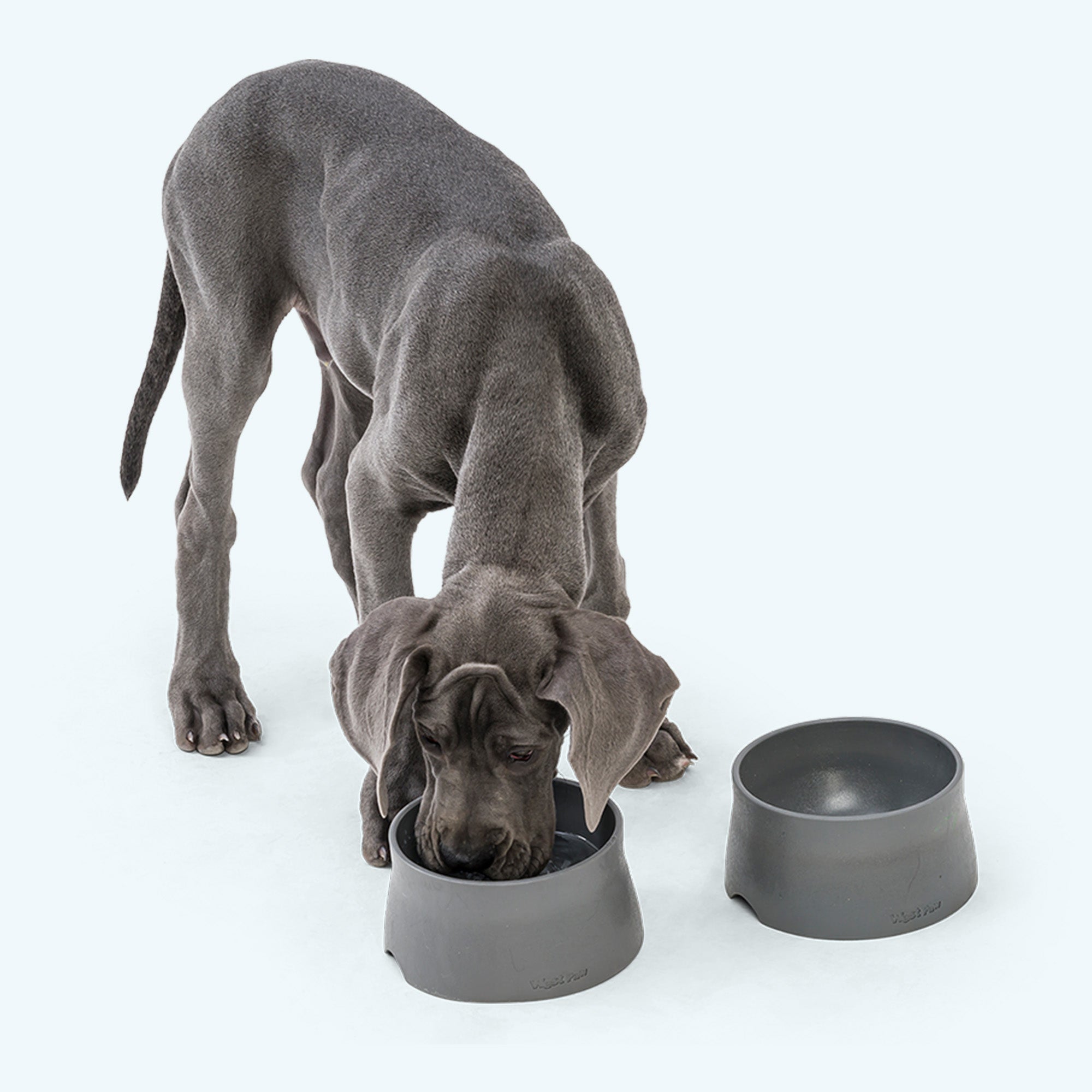 Seaflex Dog Bowl for Food or Water | Plastic Dog Bowl