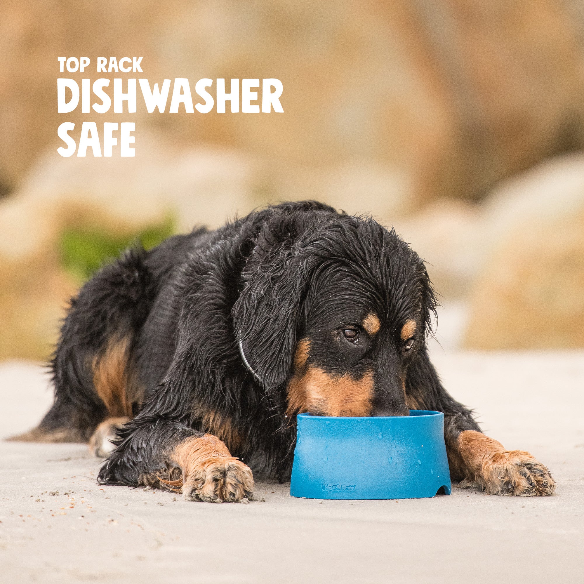 Seaflex Dog Bowl for Food or Water | Plastic Dog Bowl