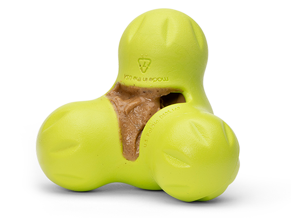 Dog treat top chew toys