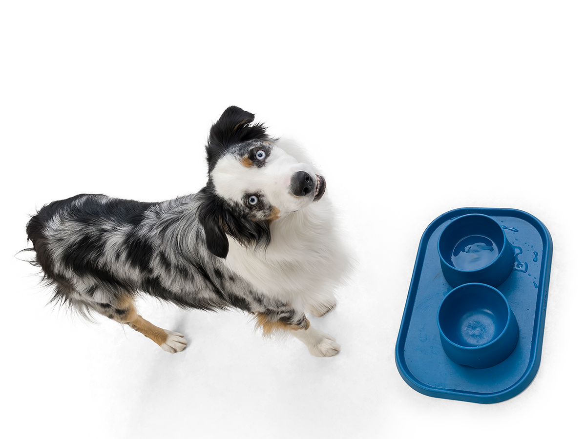 Silicone Dog Bowl Mat with Anti-Skid Feature