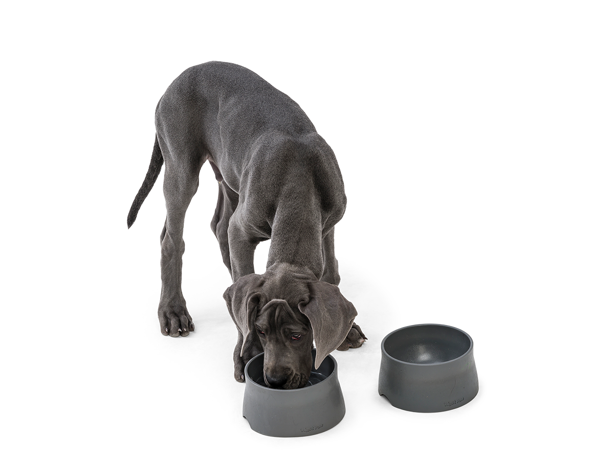mDesign Silicone Pet Food/Water Bowl Feeding Mat for Dogs - Small