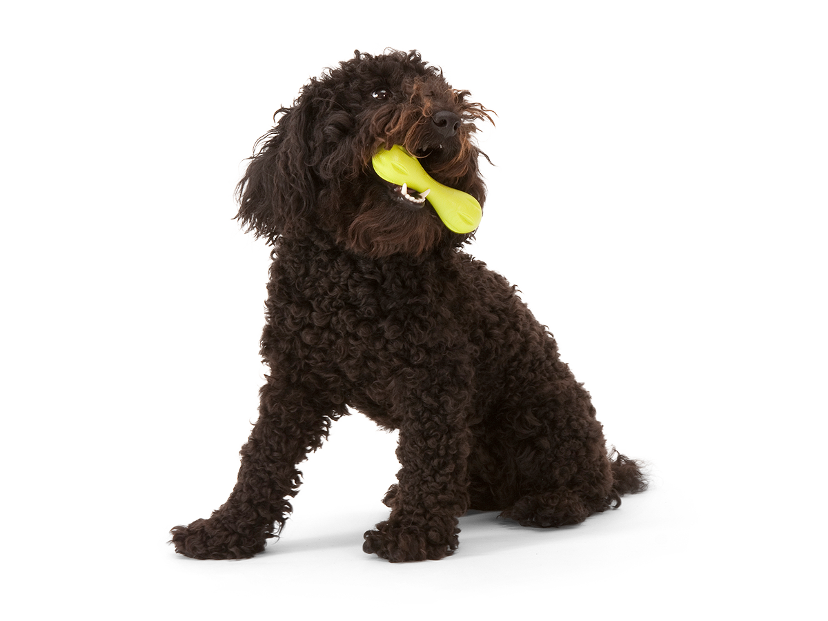 Granny Smith Hurley Dog Toy