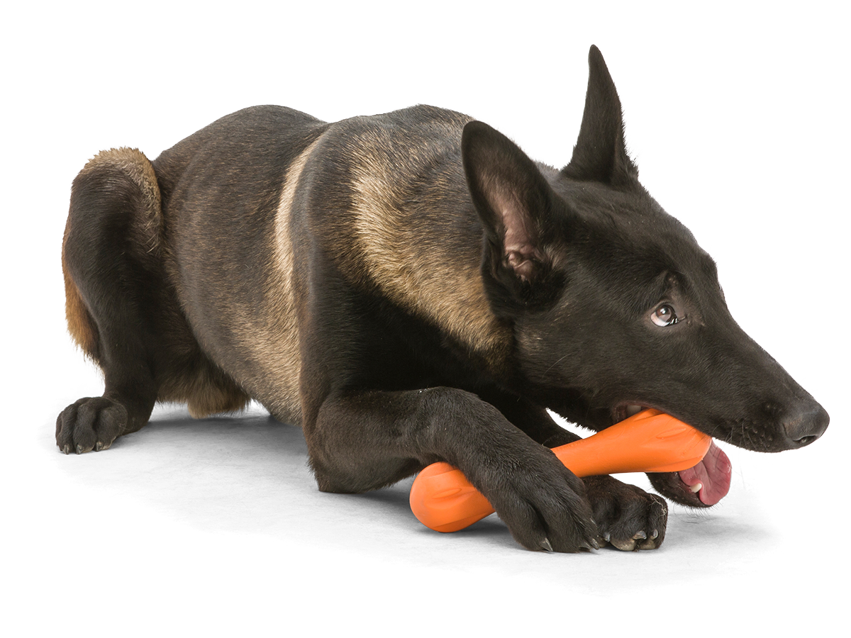 Hurley Dog Bone Dog Bone Toy West Paw