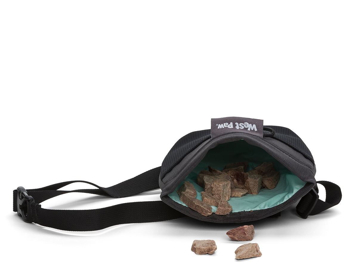 Top paw shop large treat pouch