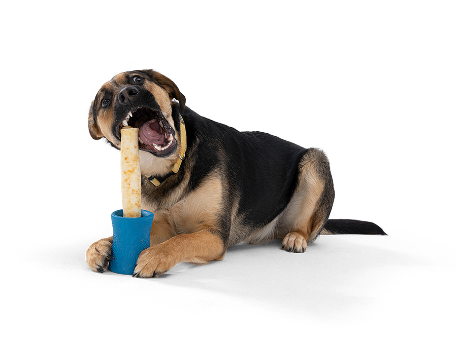 No hide chews sales safe for puppies