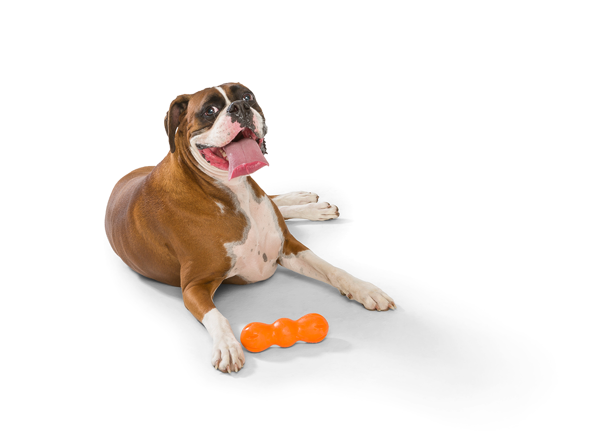 Rumpus Chew Toy Extra Durable Dog