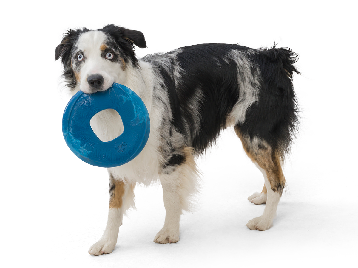 Sailz Seaflex Soft Dog High Flying Disc Toy Dog Disc with Hole