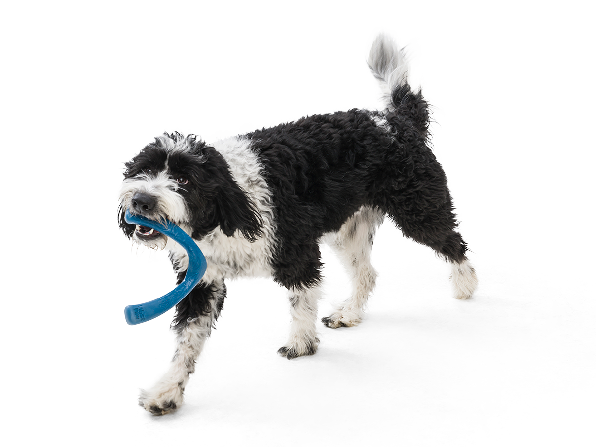 Interactive Dog Tug-of-War Ball – Leobon