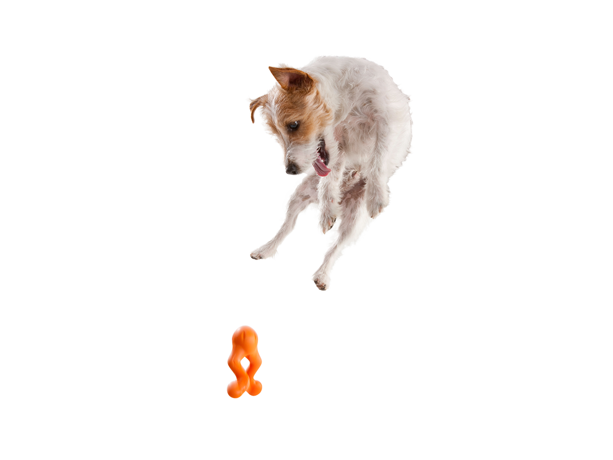 West Paw Tux Tangerine Dog Toy