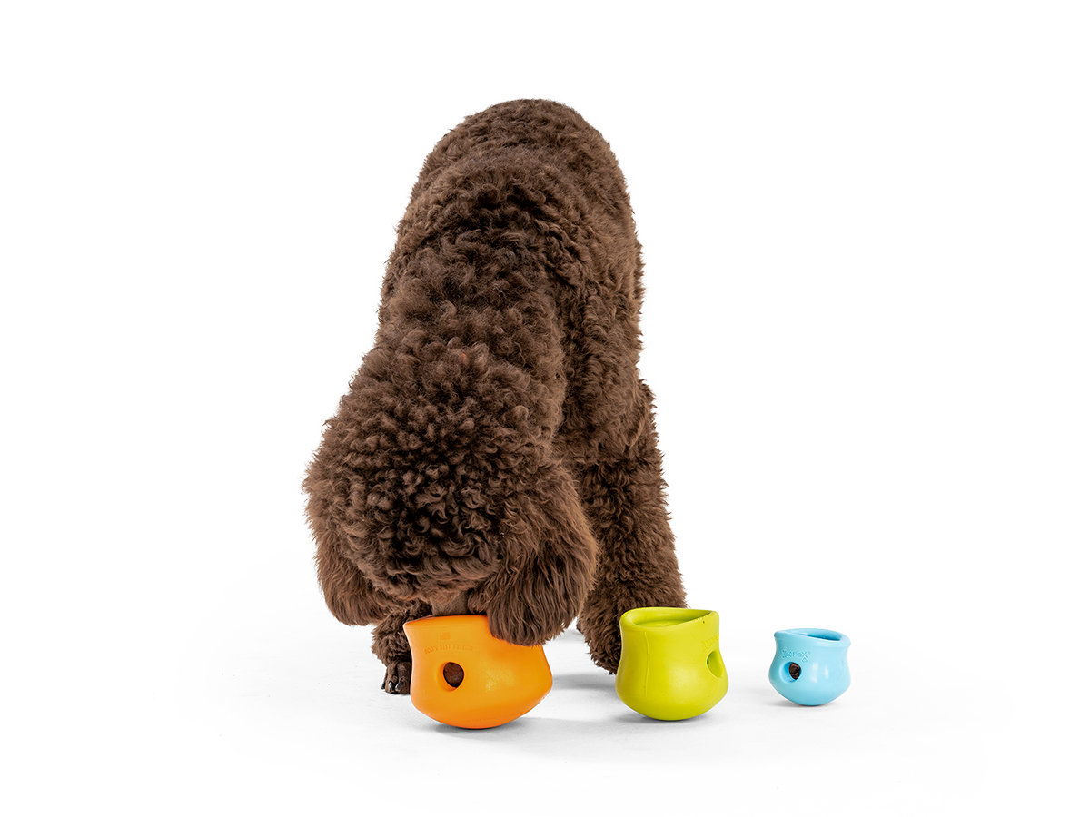 Toppl Treat Toy Dog Toy Treat Dispenser West Paw Toppl