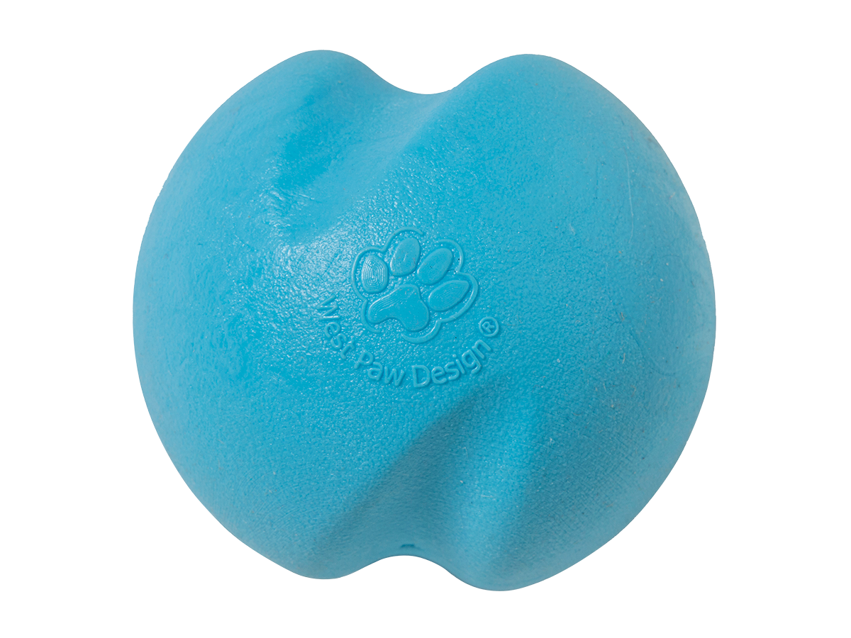 Jive Extra Small Aqua Blue Dog Toy