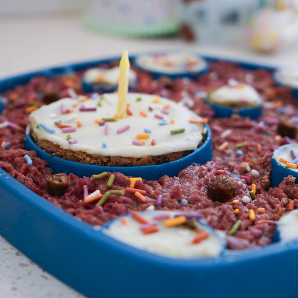 Enrichment Recipes West Paw enrichment-recipes-west-paw