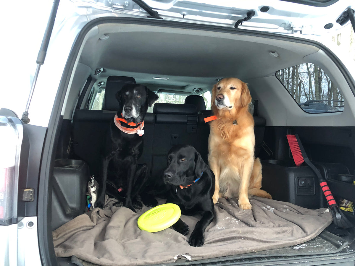 Travel Friendly Pet Products