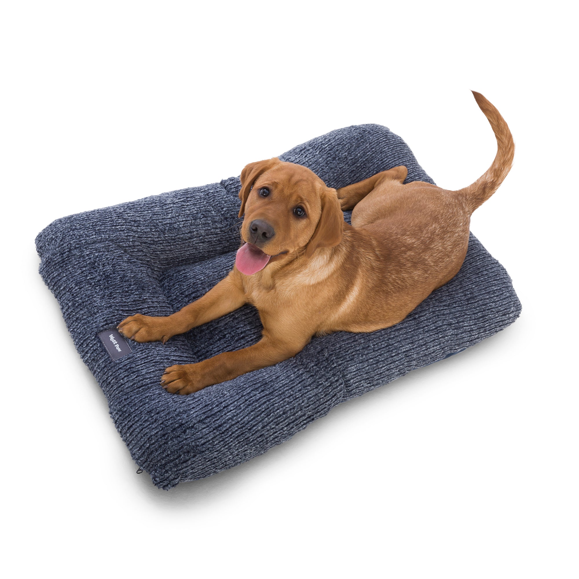 How to Choose the Right Size Bed for Your Dog