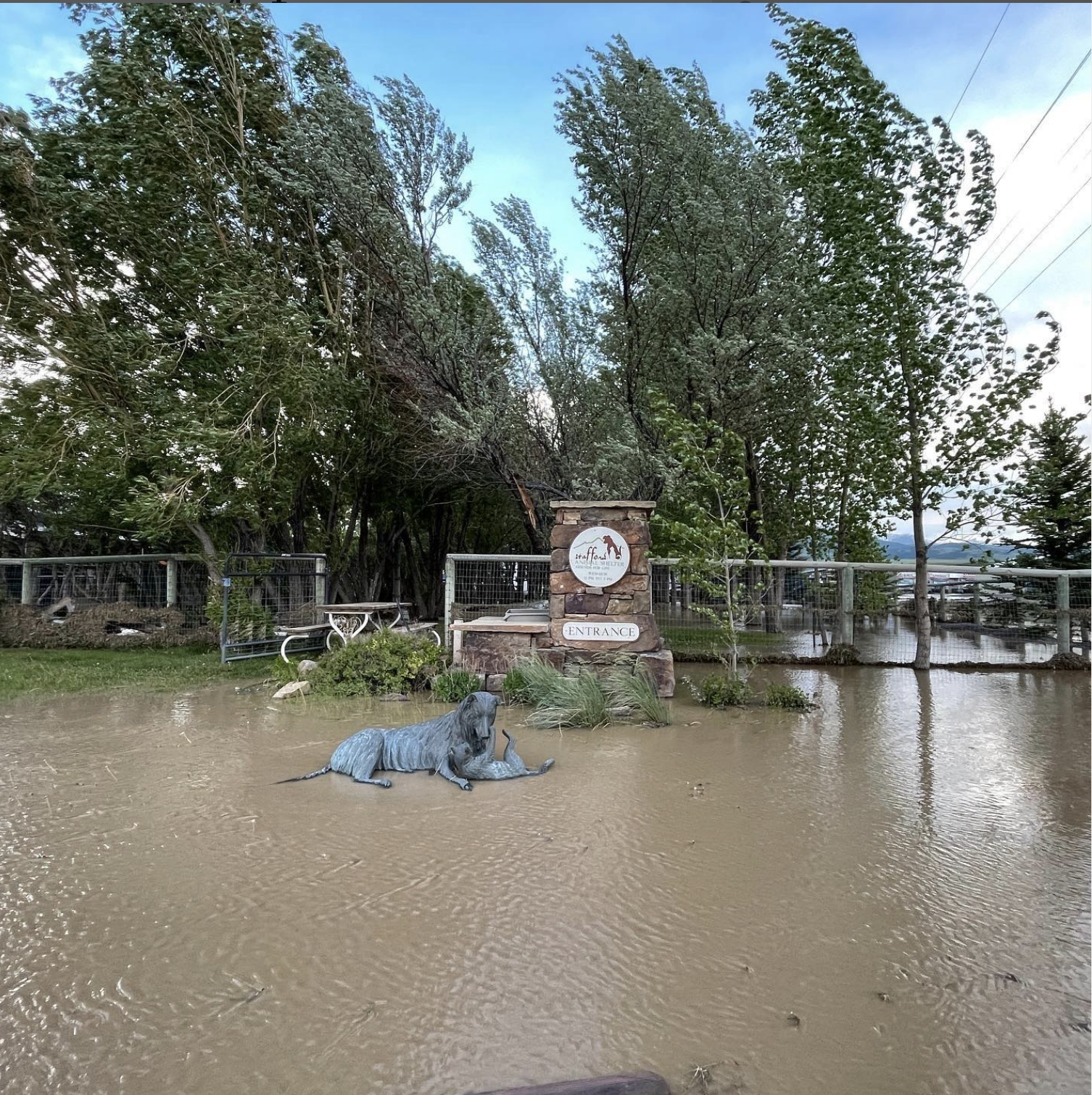 West Paw is Committed to Helping People and Animals Affected by Yellowstone Flooding