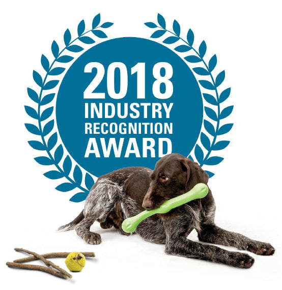 Zwig® Wins Best Toy Award