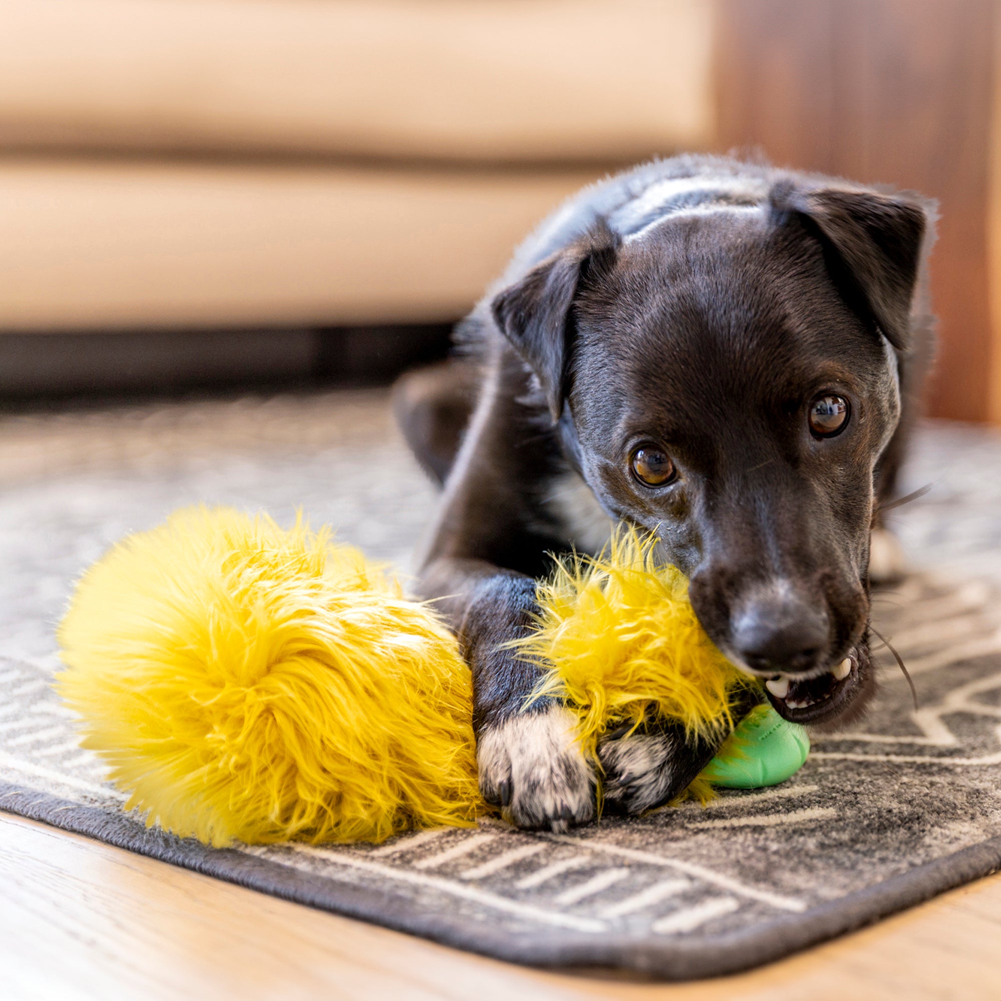 Astrid | Rowdies¨ Durable Plush Dog Toys | West Paw