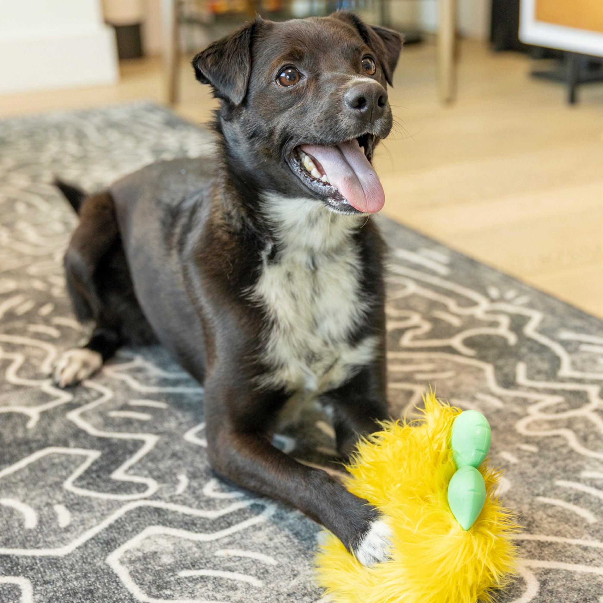 Rolf | Rowdies¨ Durable Plush Dog Toys | West Paw