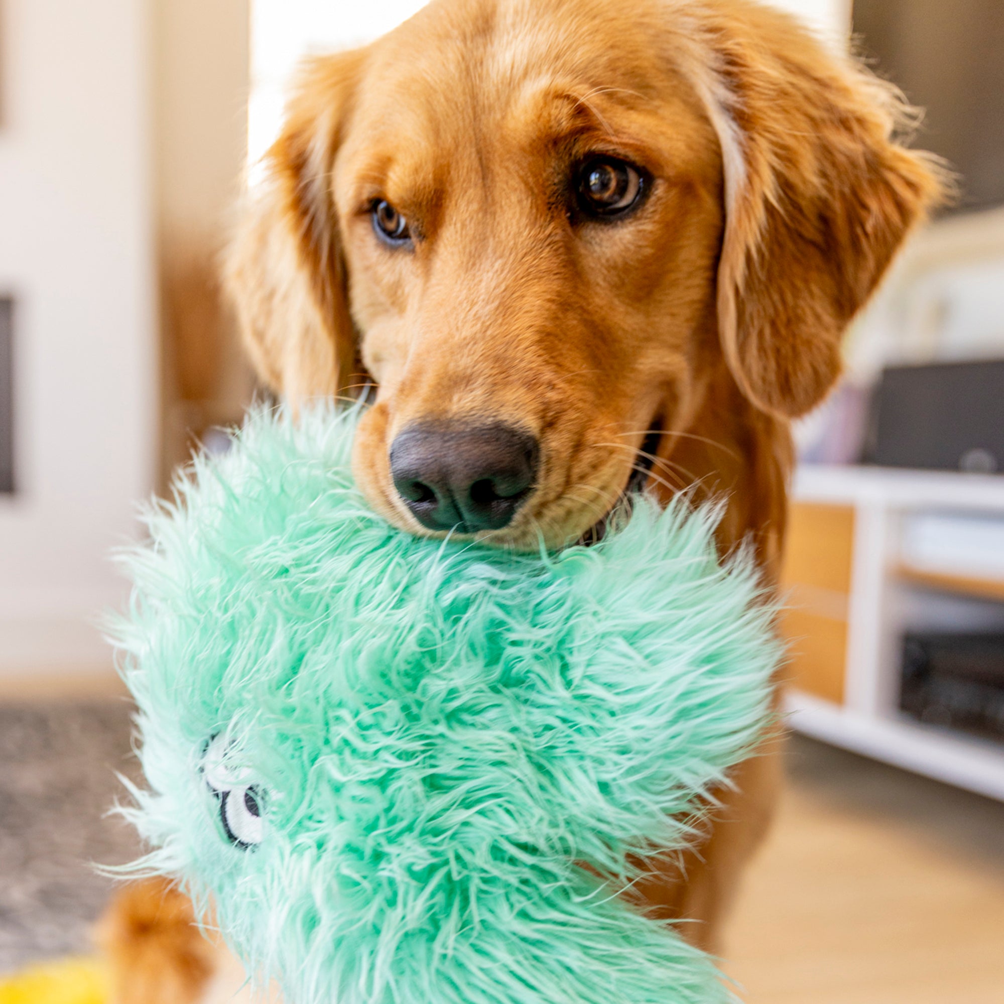 Helga | Rowdies¨ Durable Plush Dog Toys | West Paw