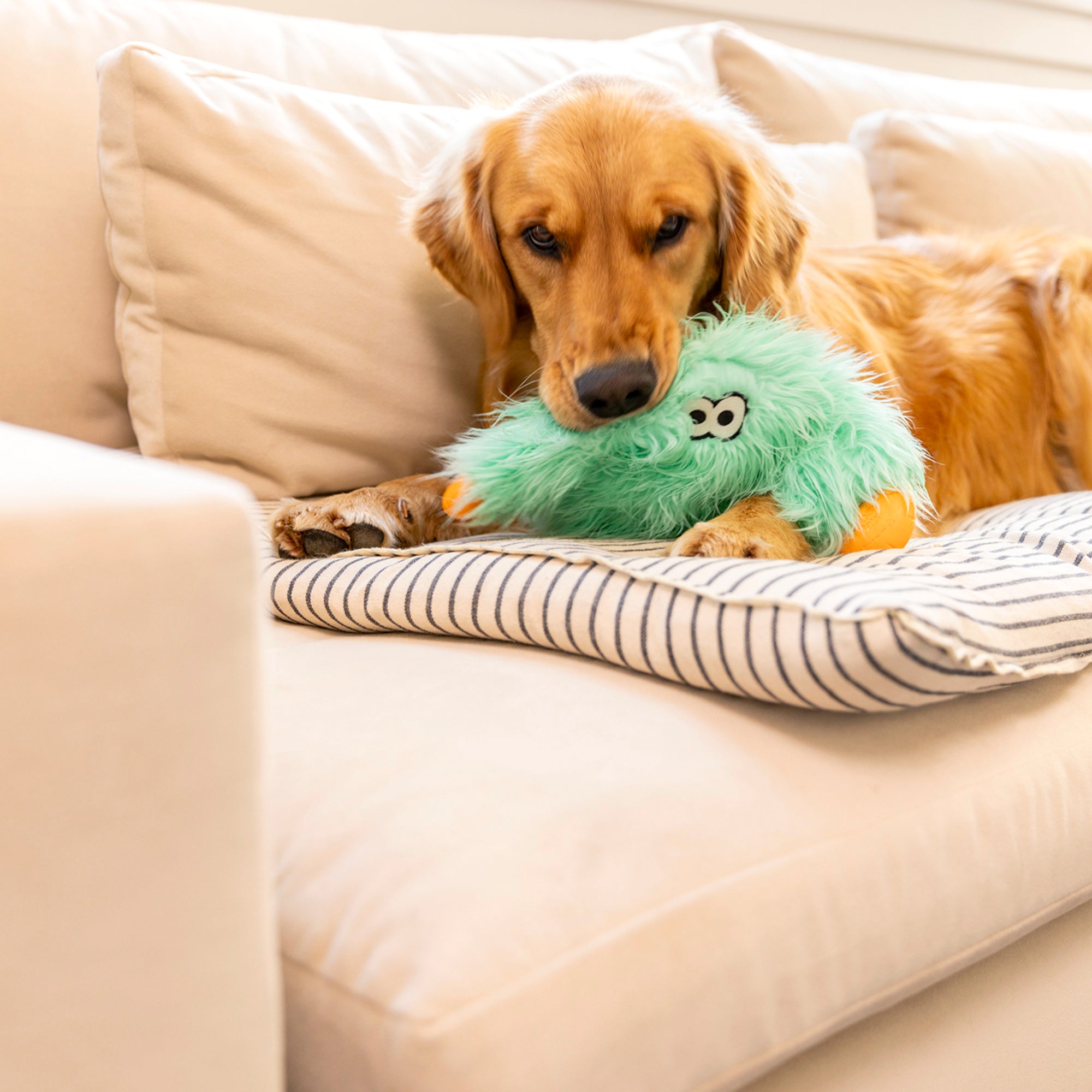 Helga | Rowdies¨ Durable Plush Dog Toys | West Paw