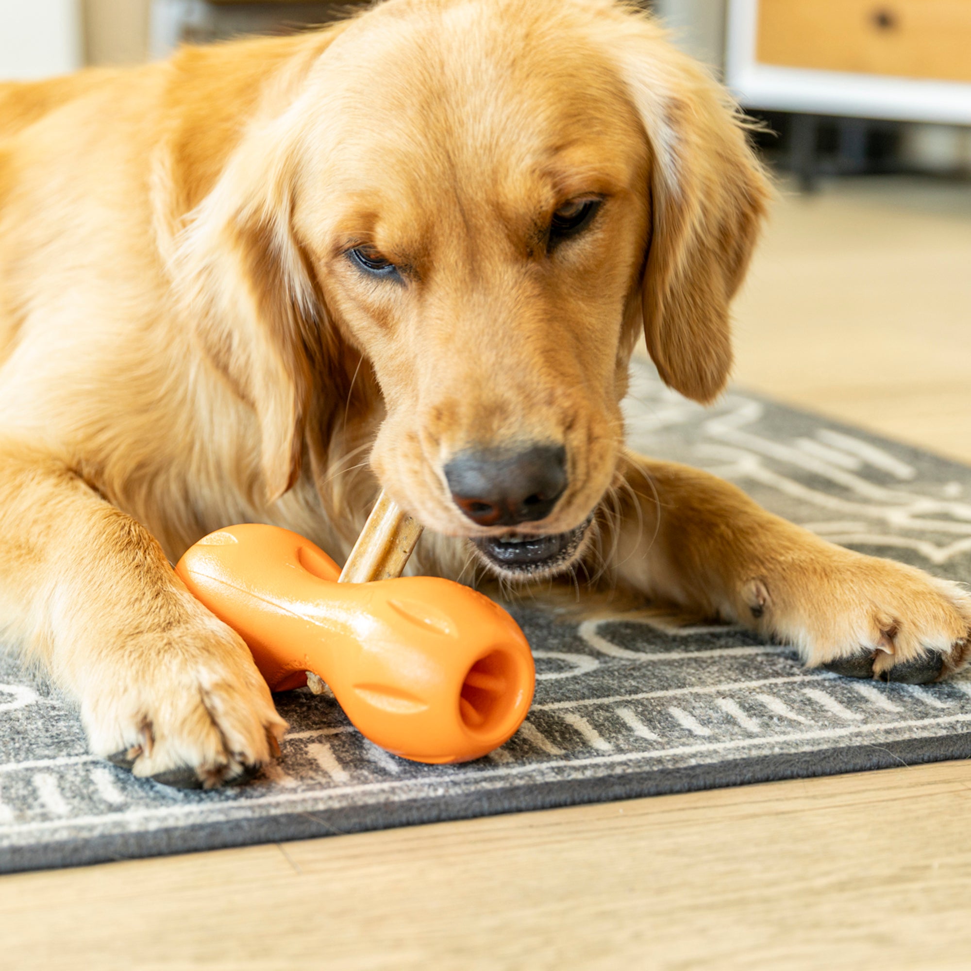 Natural Dental Sticks Small | West Paw