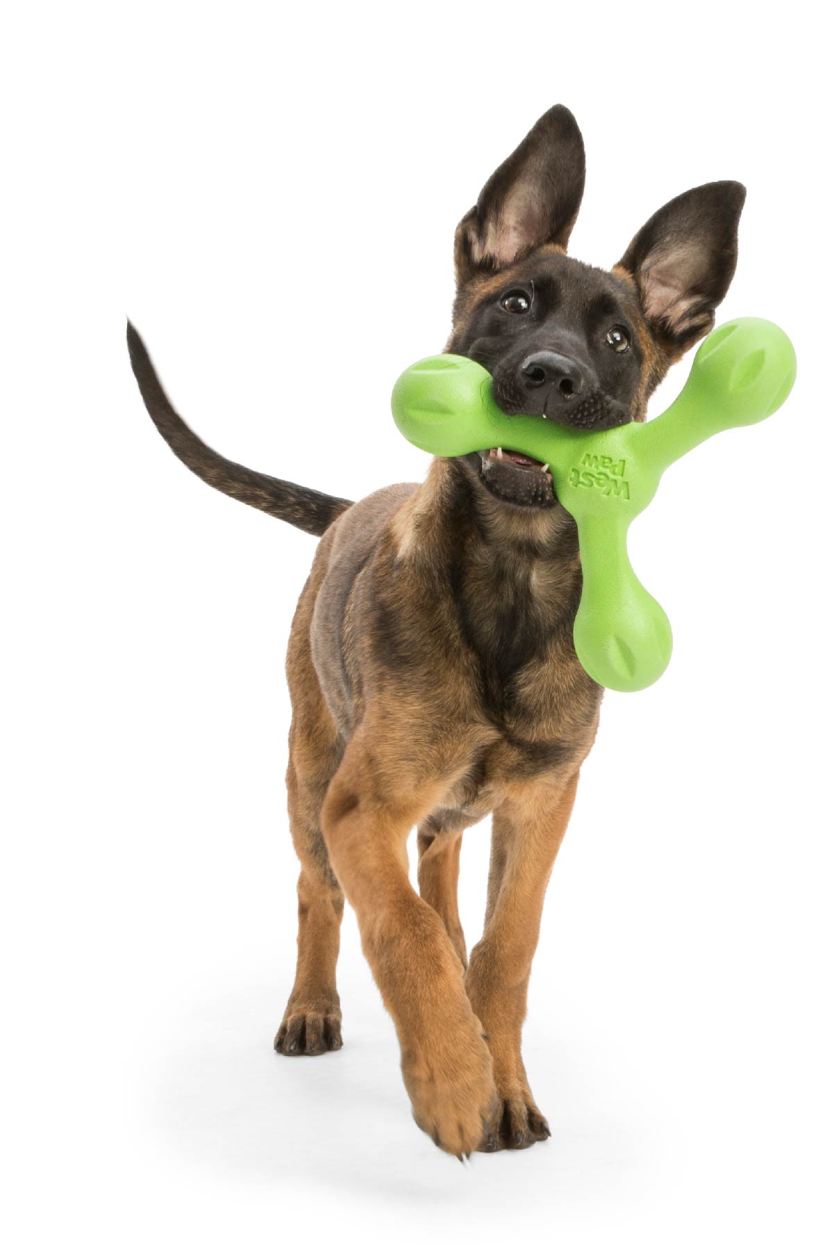 Skamp® Fetch Toy | Dog Fetch Toy | West Paw
