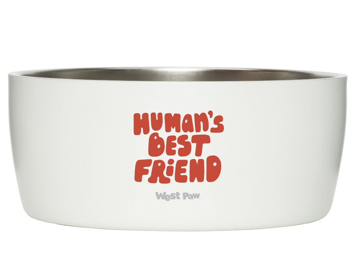 MiiR Camp Cup and Dog Bowl