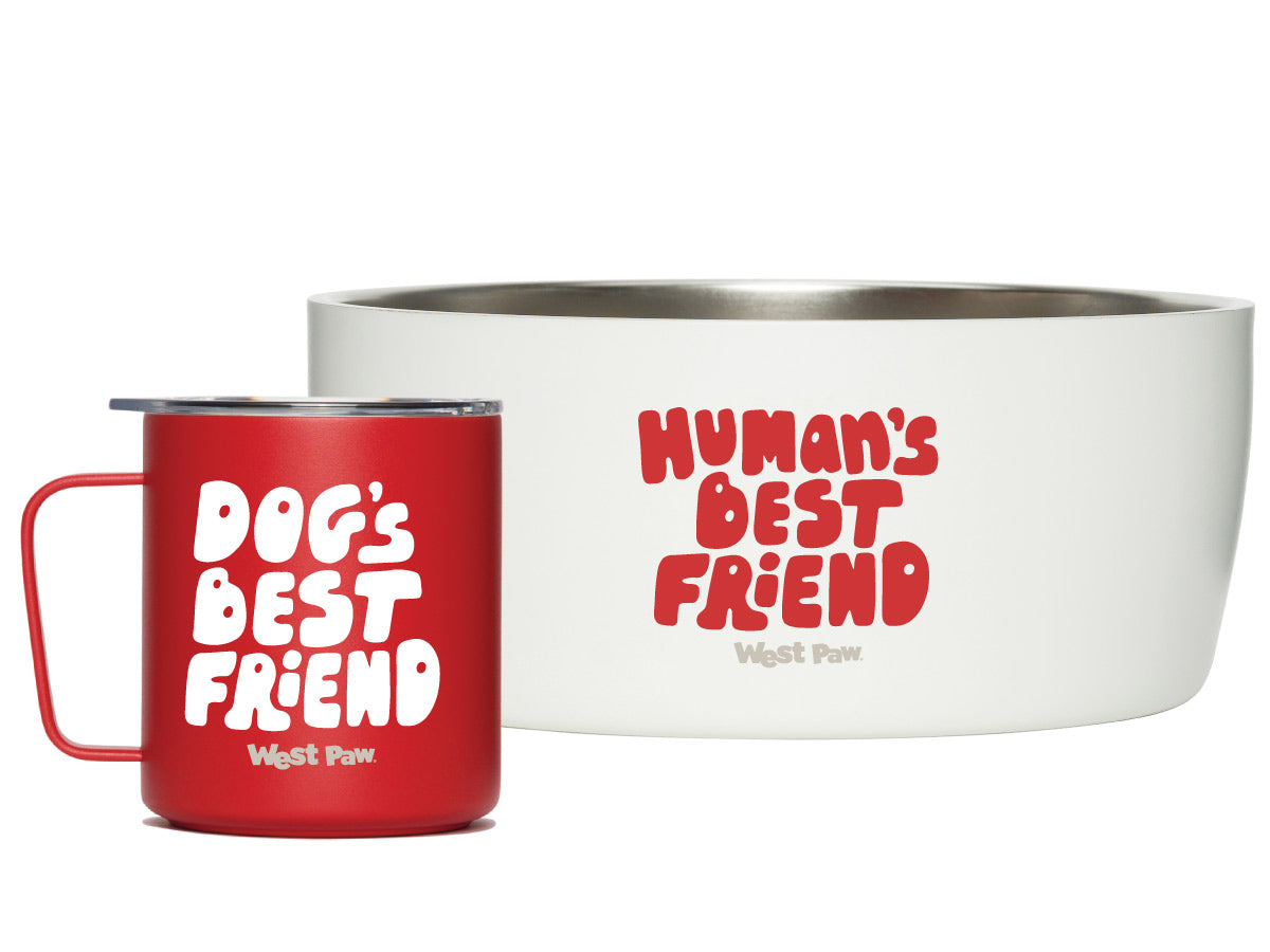 MiiR Dog Bowl