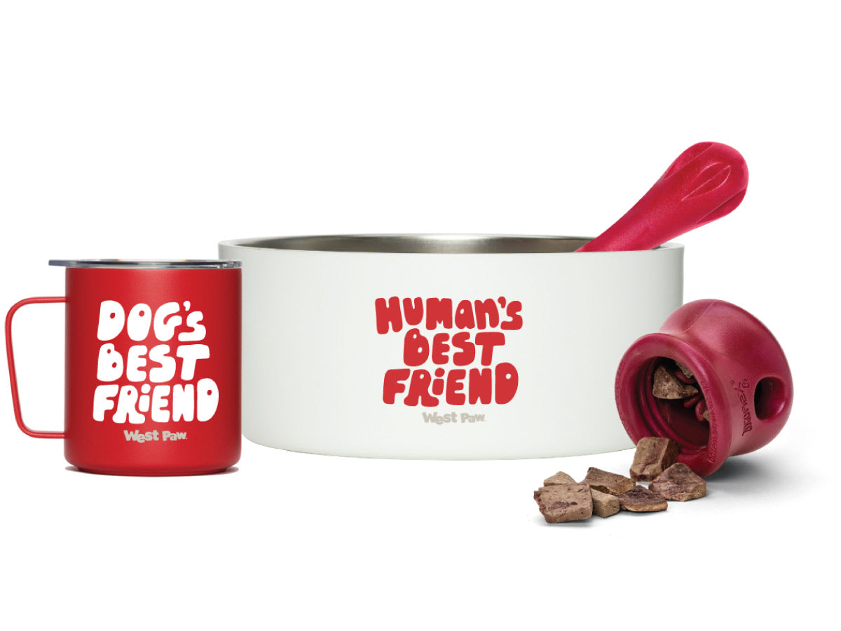 MiiR Camp Cup and Dog Bowl