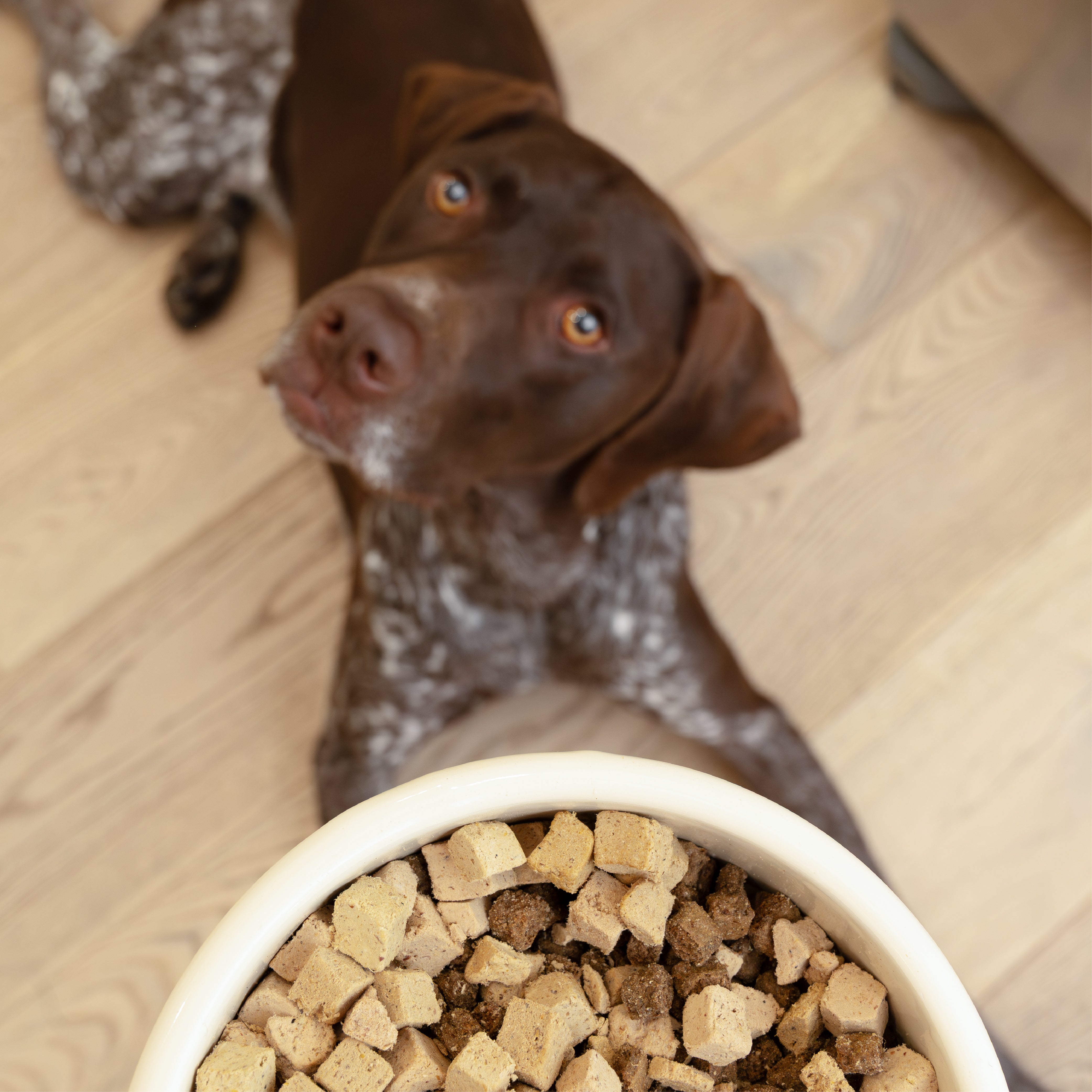 Rawbiotic Bitesª | Freeze-Dried Chicken Dog Food Topper | West Paw