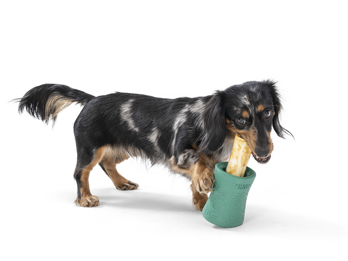 Chews Wisely: A Guide to Safe Dog Chews and Non-Toxic Toys - The