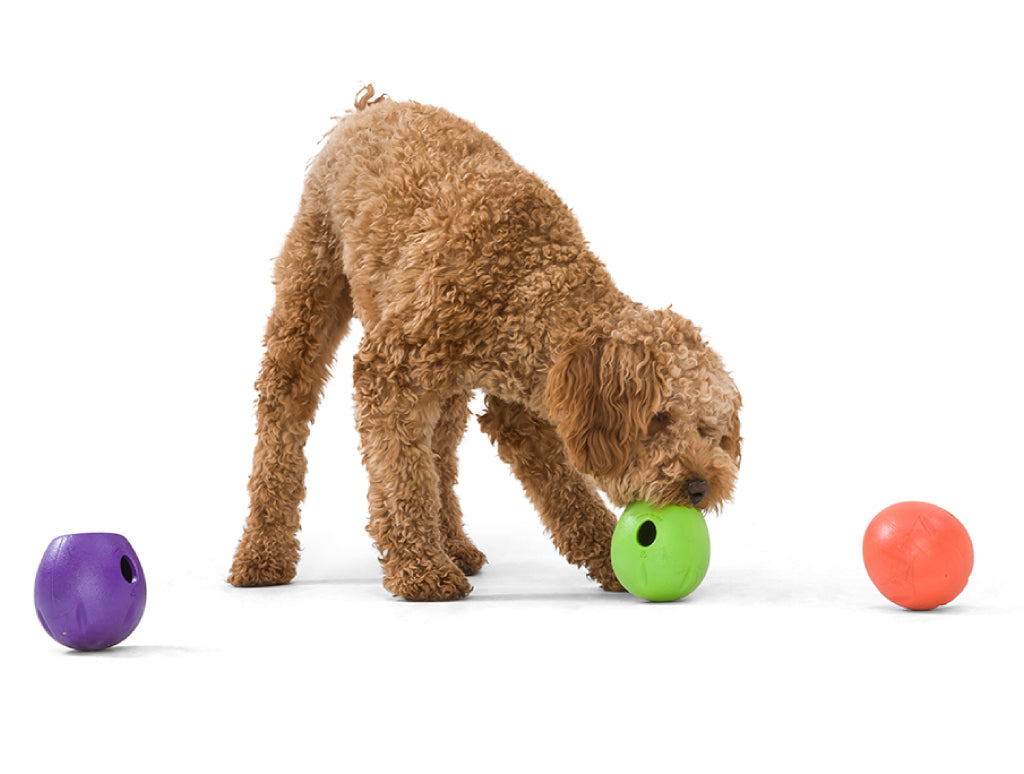 Rumbl The Final Fetch