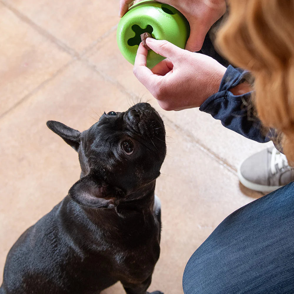 Rumbl The Final Fetch