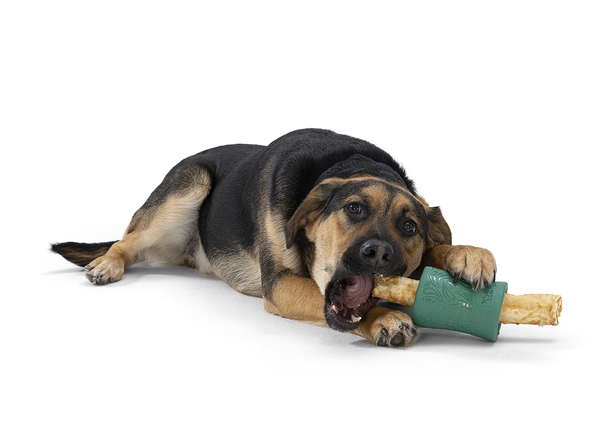 No hide dog best sale bone
