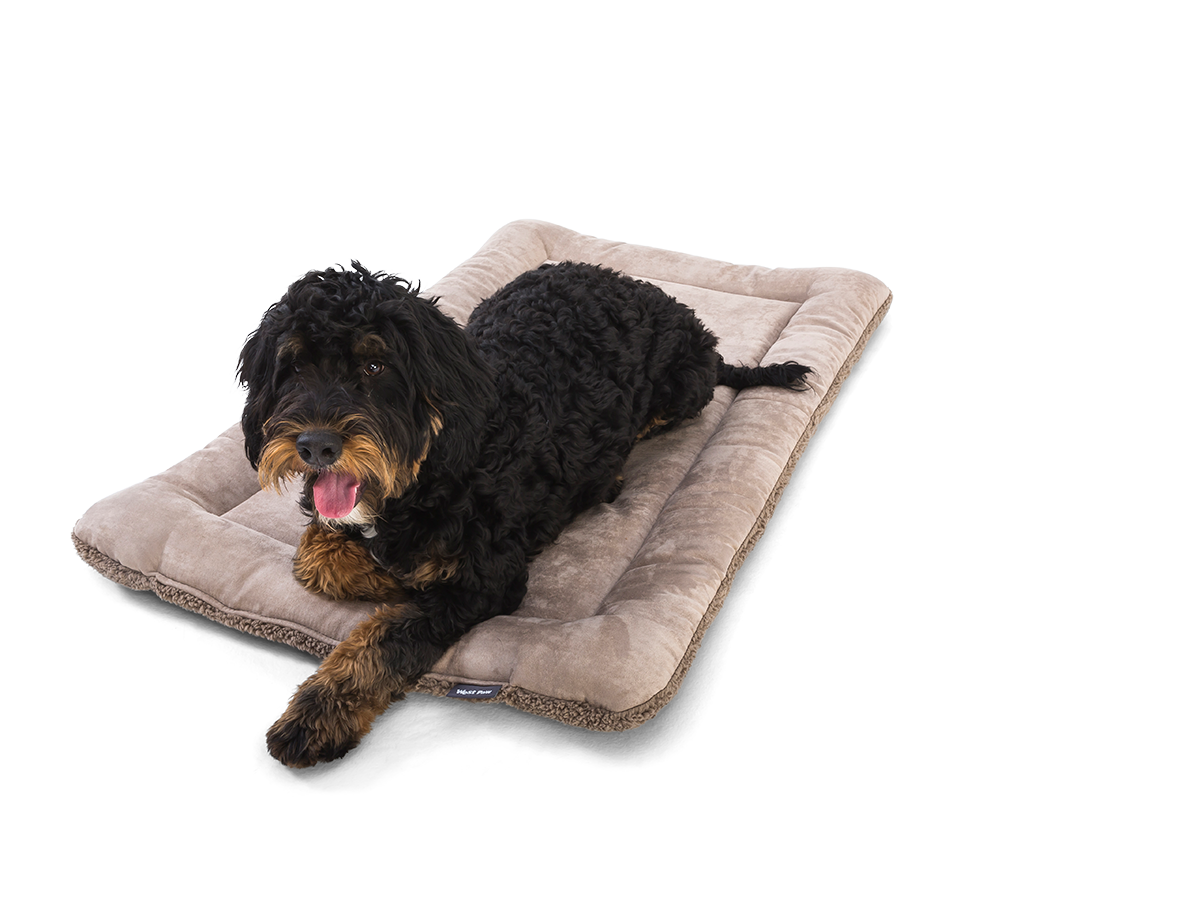 Big Sky Nap® Dog Mat Dog Sleeping Mat West Paw