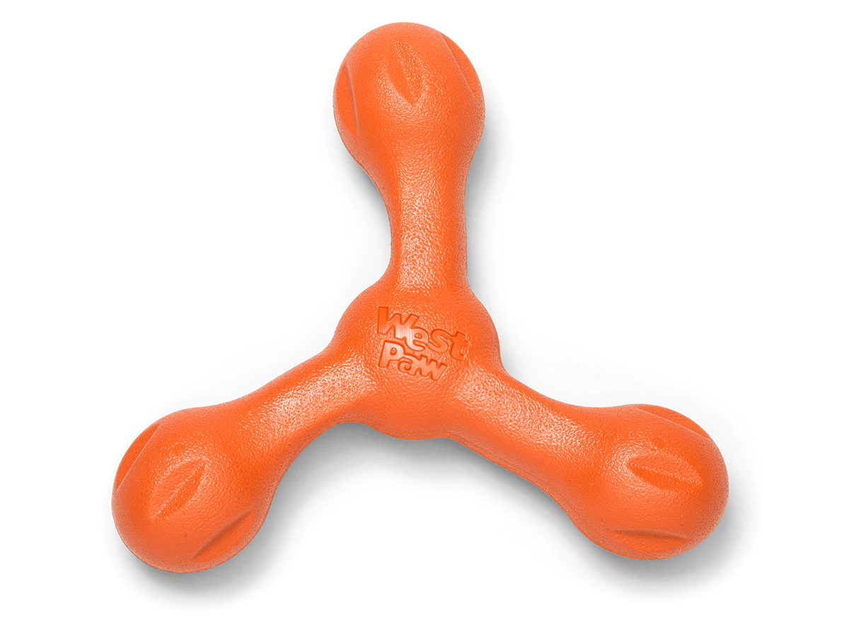 Dog best sale fetch toy