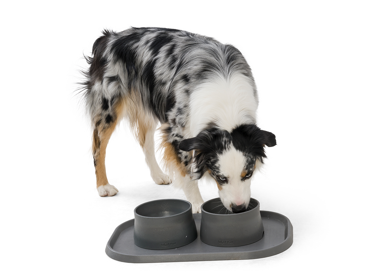 Seaflex Dog Feeding Mat Dog Feeding Mat West Paw