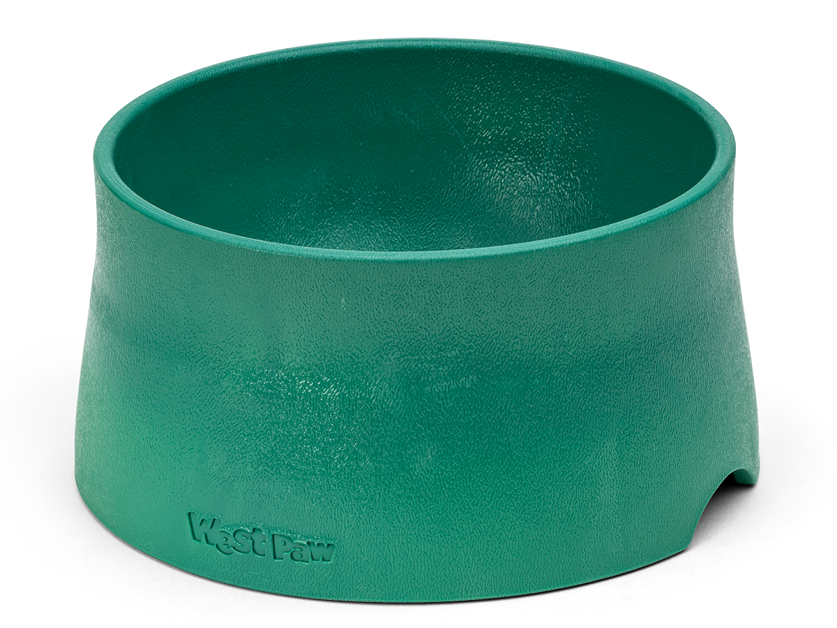 Large plastic dog bowls deals