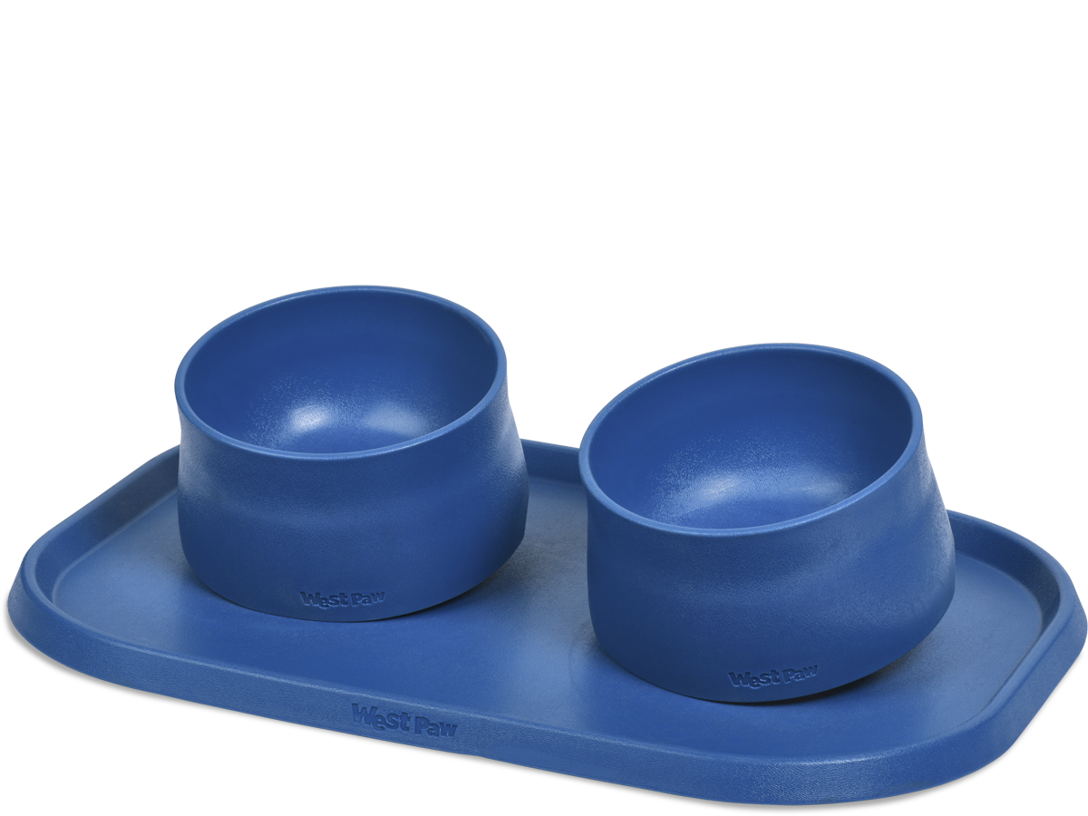 Wholesale Bone Shaped Dog Bowl- 12.4- Assorted Colors BLUE