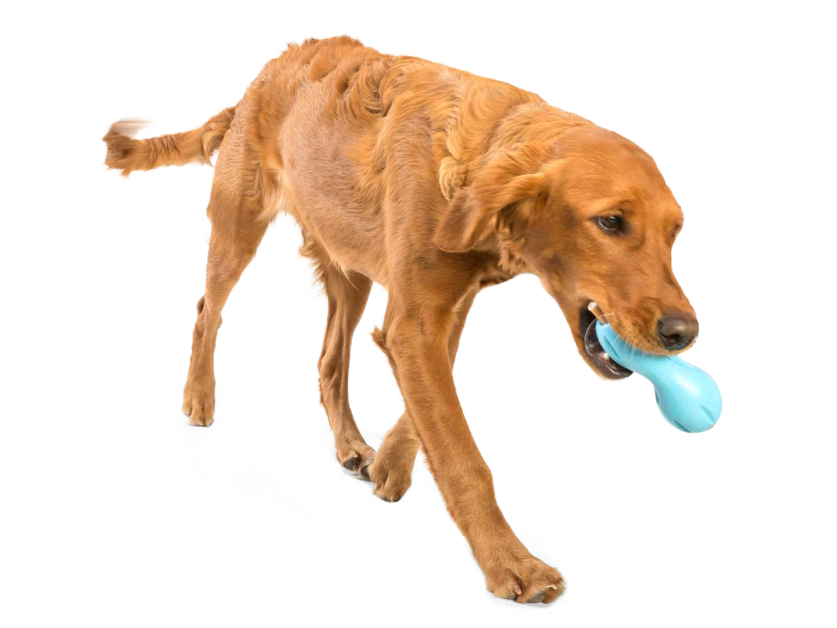 Dog Treat Puzzle Dog snack bone toy blue