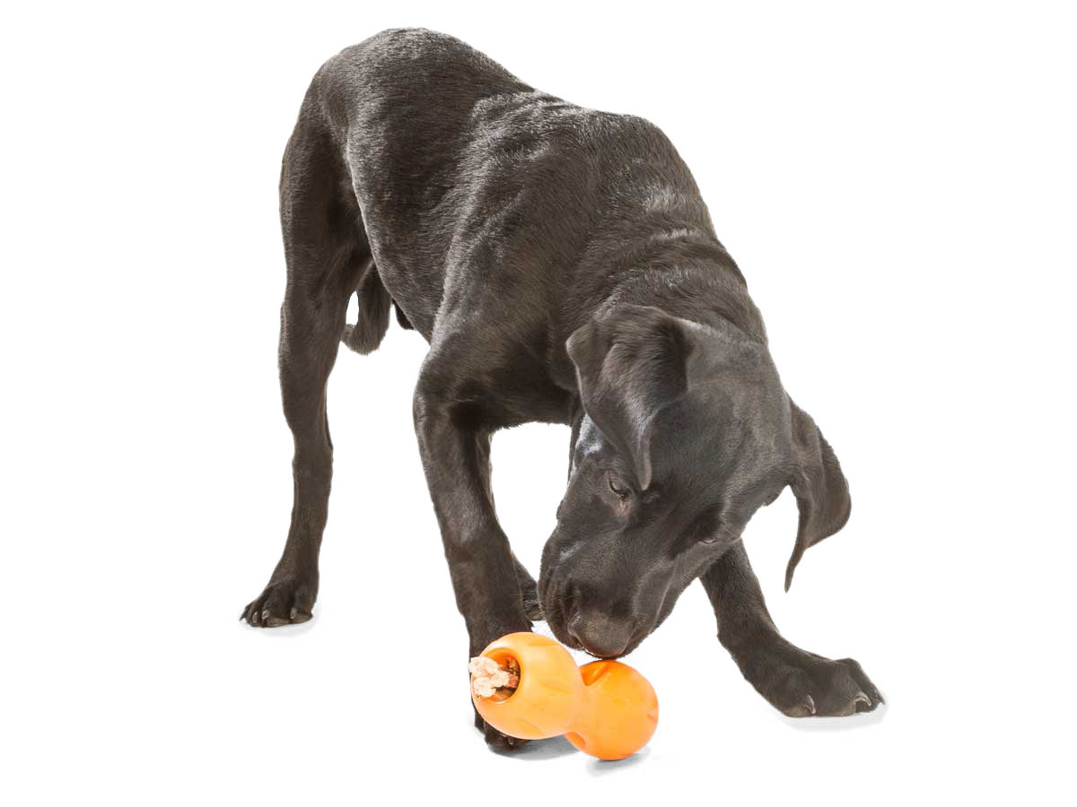 West paw top dog toys uk