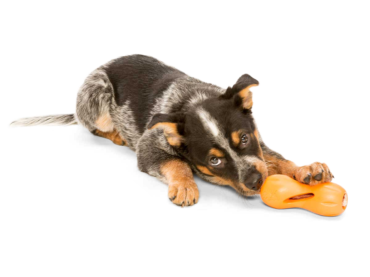 Qwizl Treat Toy Dog Treat Toy West Paw